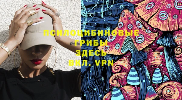 герыч Алзамай