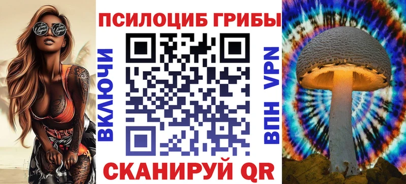 где купить   Оханск  Псилоцибиновые грибы Magic Shrooms 